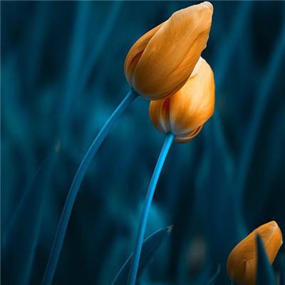 爱游戏全站手机app下载截图